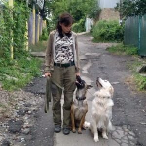 дрессировка собак голден малинуа